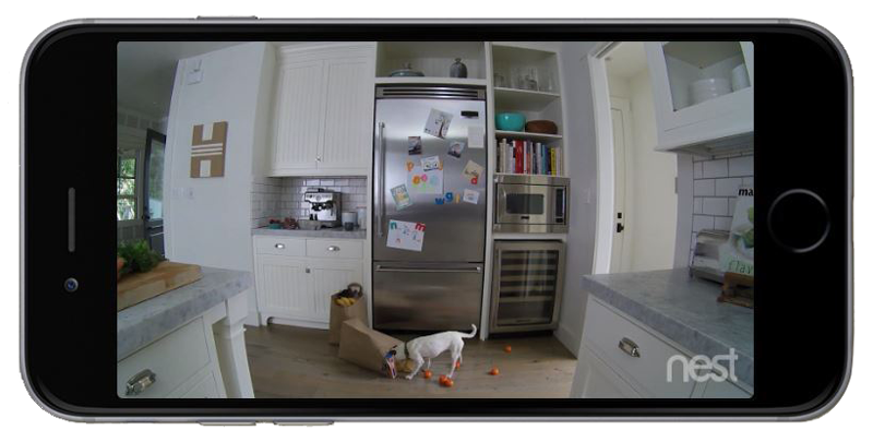 Nest Cam ile artık kamera görüntülerinizi Android TV'nizde görebileceksiniz