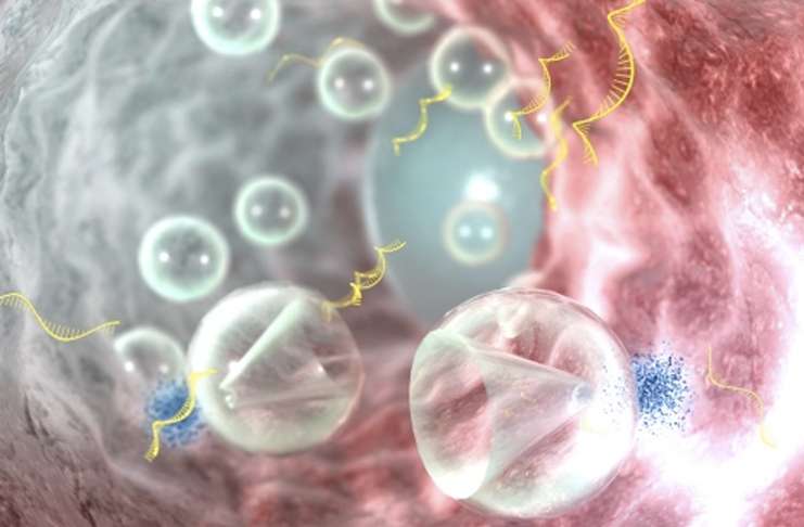 RNA transferi kolon iltihabını hiçbir yan etkisi olmadan tedavi etti