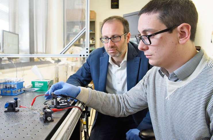 Düşük enerjili dizaynı ile elektrik sinyalleri sayesinde öğrenebiliyor ve hatırlayabiliyor