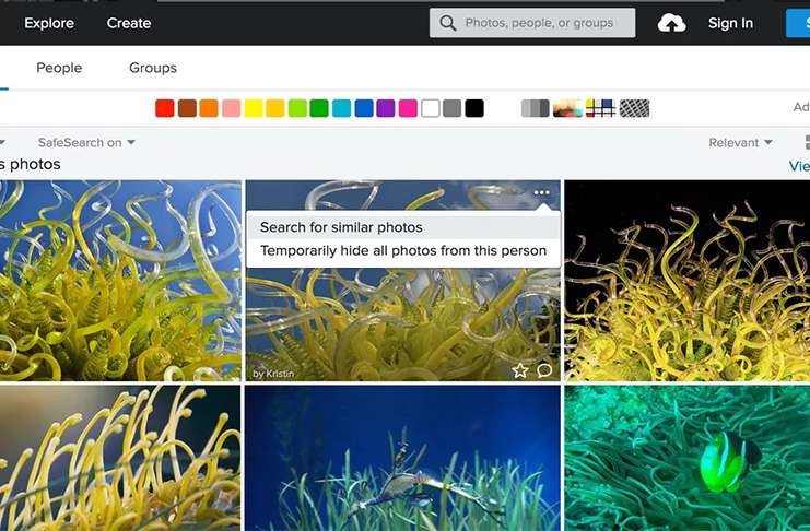 Flickr'da fotoğraf araması