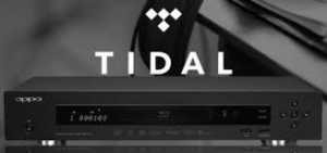 Jay-Z’nin sahibi olduğu müzik sağlayıcısı TIDAL, üçüncü CEO’sunu da kaybetti. 