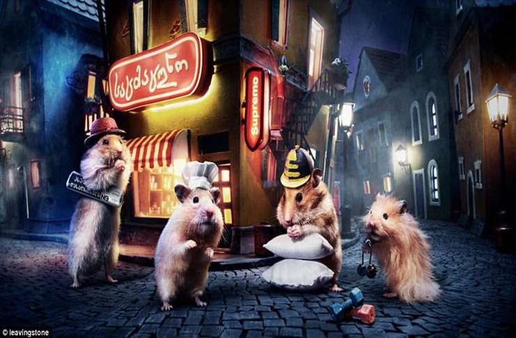 Hamster köyü kurmak için 1325 detay üzerinde çalıştılar