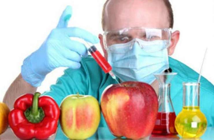 Organik bahçeciliğe başlayın ve yiyeceklerinizi kendiniz yetiştirin