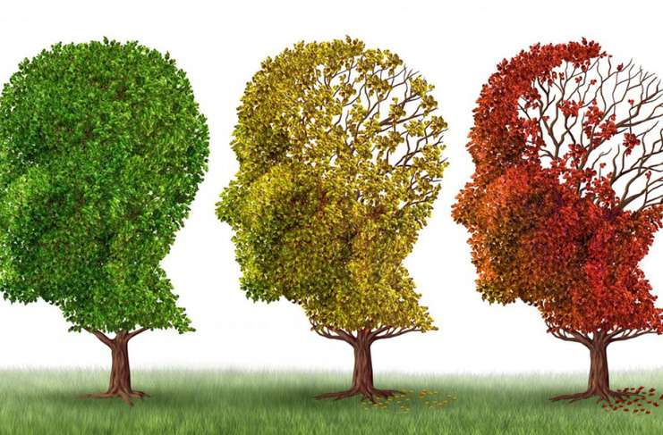 Alzheimer, Parkinson ve Huntington Hastalıkları Arasında Bağlantı Var mı?