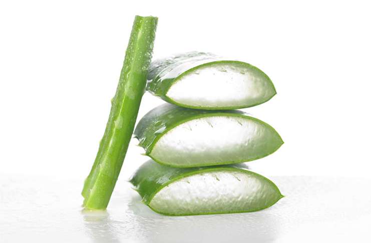 Aloe vera ve cilt üzerindeki onarıcı etkisi
