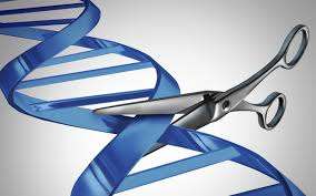 Genetik Hastalıkların Sonu mu Geliyor?