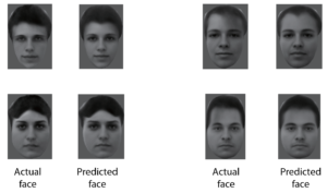 Bilim adamları artık beyninizin, yüzleri nasıl ayırt edebileceğini buldular