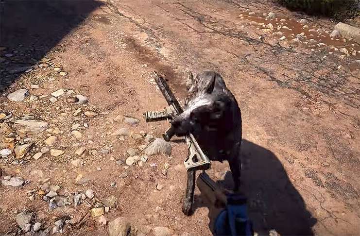 Far Cry 5