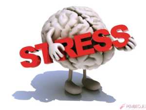 Ölçülü stres bağışıklık sistemini düzenliyor
